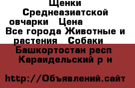 Щенки Среднеазиатской овчарки › Цена ­ 30 000 - Все города Животные и растения » Собаки   . Башкортостан респ.,Караидельский р-н